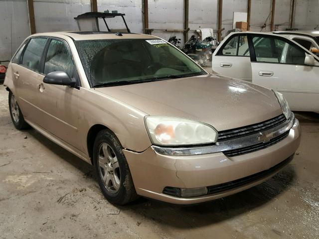 1G1ZU64875F172117 - 2005 CHEVROLET MALIBU MAX 金色 照片 1