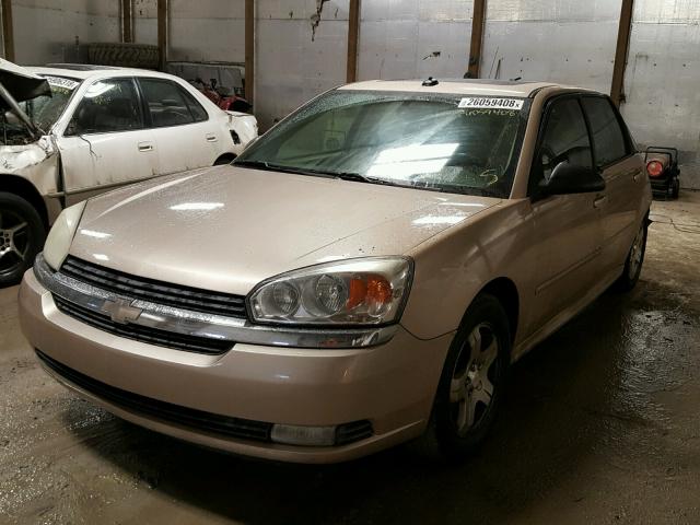 1G1ZU64875F172117 - 2005 CHEVROLET MALIBU MAX 金色 照片 2