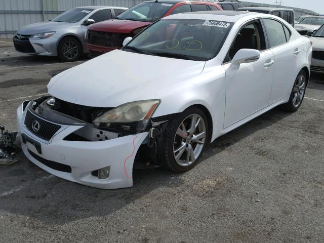 JTHBK262295092704 - 2009 LEXUS IS 250 WHITE photo 2