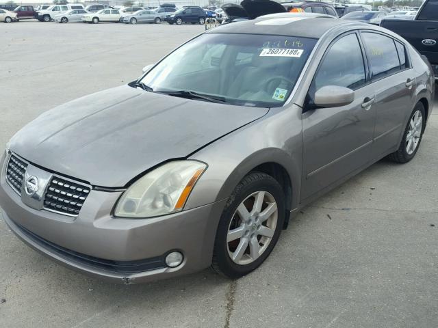 1N4BA41E06C810670 - 2006 NISSAN MAXIMA SE TAN photo 2