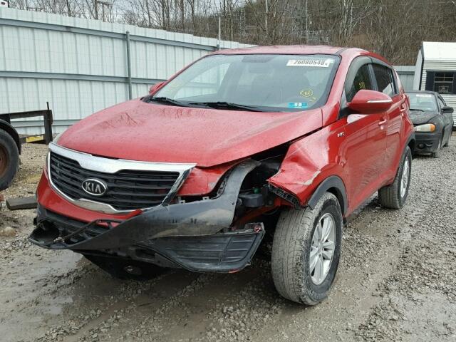 KNDPBCA21B7013330 - 2011 KIA SPORTAGE L RED photo 2