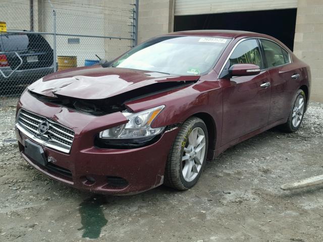 1N4AA5AP7BC808430 - 2011 NISSAN MAXIMA S BURGUNDY photo 2