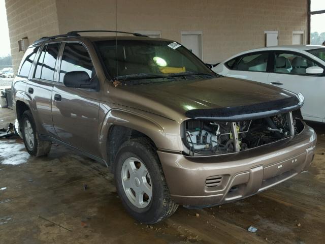 1GNDT13S022484830 - 2002 CHEVROLET TRAILBLAZE BROWN photo 1