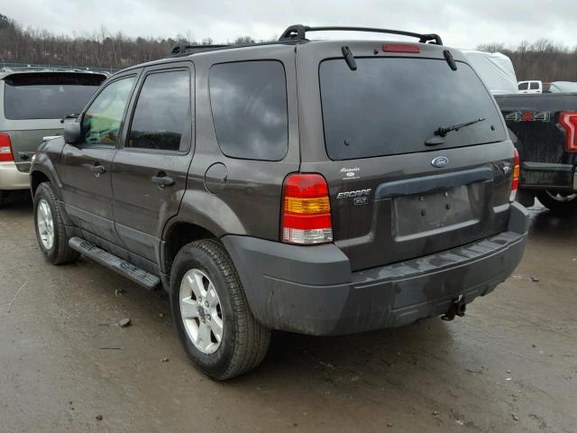 1FMYU93176KC03928 - 2006 FORD ESCAPE XLT BROWN photo 3