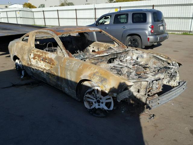 1ZVBP8ANXA5145142 - 2010 FORD MUSTANG BURN photo 1