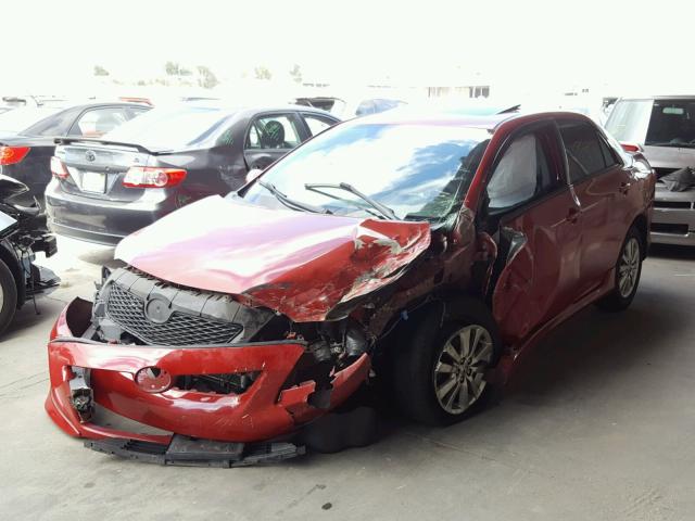 1NXBU40E09Z112797 - 2009 TOYOTA COROLLA BA RED photo 2