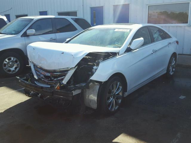 5NPEC4ACXDH763956 - 2013 HYUNDAI SONATA SE WHITE photo 2