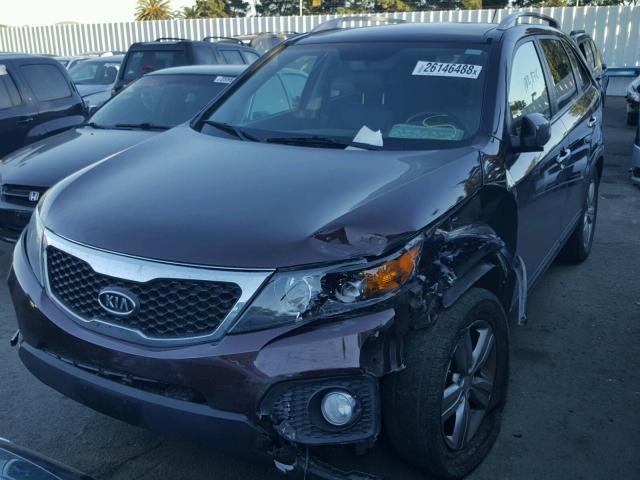 5XYKU4A26DG374634 - 2013 KIA SORENTO EX PURPLE photo 2