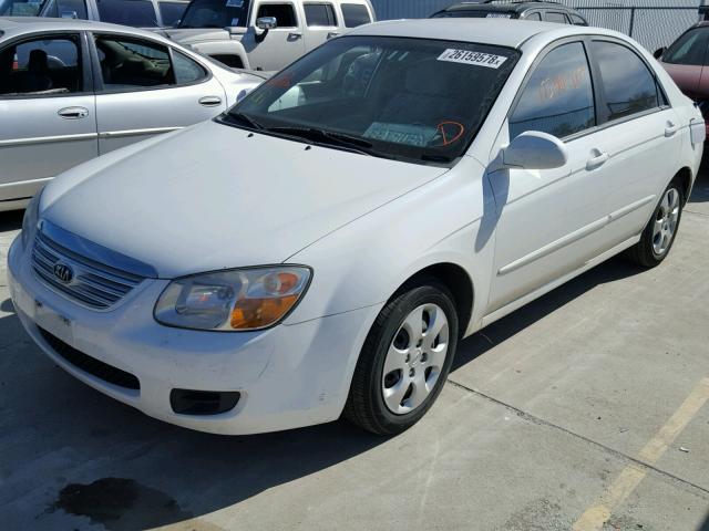 KNAFE122675484041 - 2007 KIA SPECTRA EX WHITE photo 2