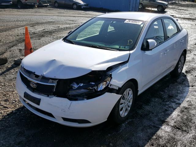 KNAFU4A21A5240908 - 2010 KIA FORTE EX WHITE photo 2