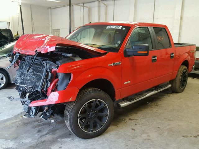 1FTFW1ET3DKG02113 - 2013 FORD F150 SUPER RED photo 2