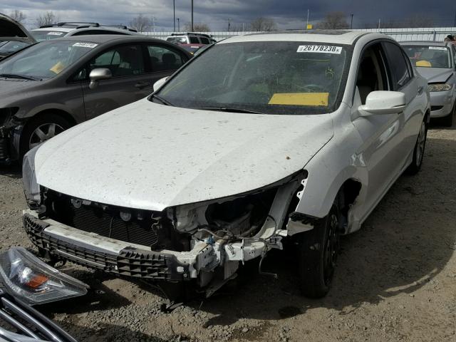 1HGCR2F87EA104032 - 2014 HONDA ACCORD EXL WHITE photo 2