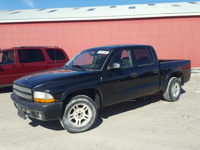 1D7HL38K34S747383 - 2004 DODGE DAKOTA QUA BLACK photo 2