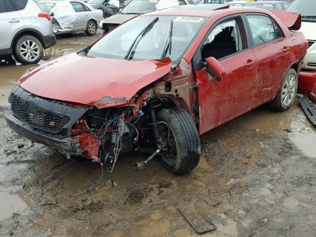 1NXBU4EE1AZ370386 - 2010 TOYOTA COROLLA BA RED photo 2