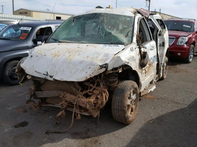 2D4RN4DE6AR155460 - 2010 DODGE GRAND CARA WHITE photo 2