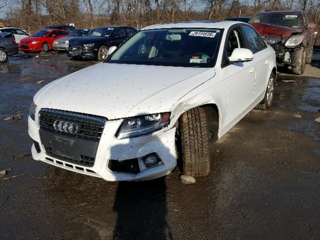 WAULF78K09N025097 - 2009 AUDI A4 2.0T QU WHITE photo 2