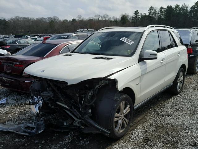 4JGDA5HB7CA012058 - 2012 MERCEDES-BENZ ML 350 4MA WHITE photo 2