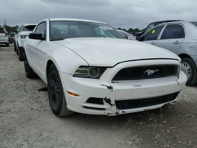 1ZVBP8AM2D5241942 - 2013 FORD MUSTANG WHITE photo 1