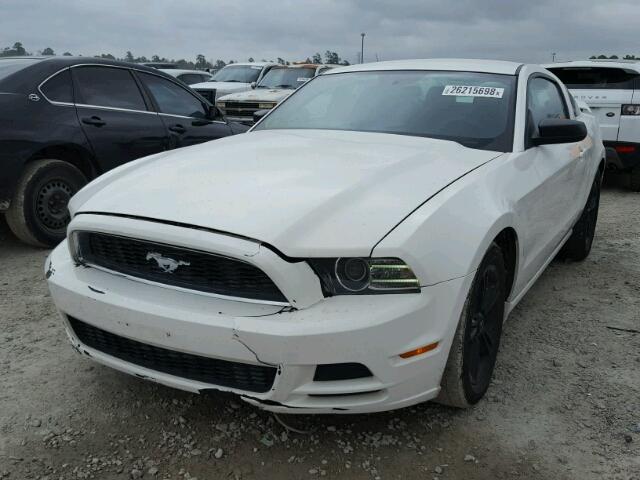 1ZVBP8AM2D5241942 - 2013 FORD MUSTANG WHITE photo 2