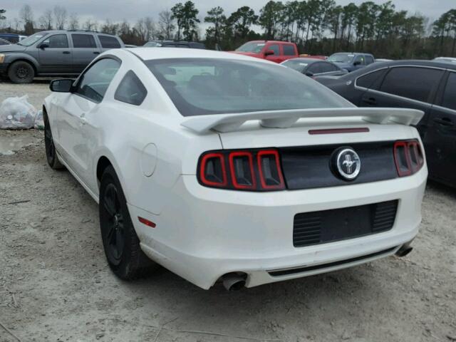 1ZVBP8AM2D5241942 - 2013 FORD MUSTANG WHITE photo 3