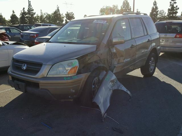 2HKYF18415H551840 - 2005 HONDA PILOT EX TAN photo 2