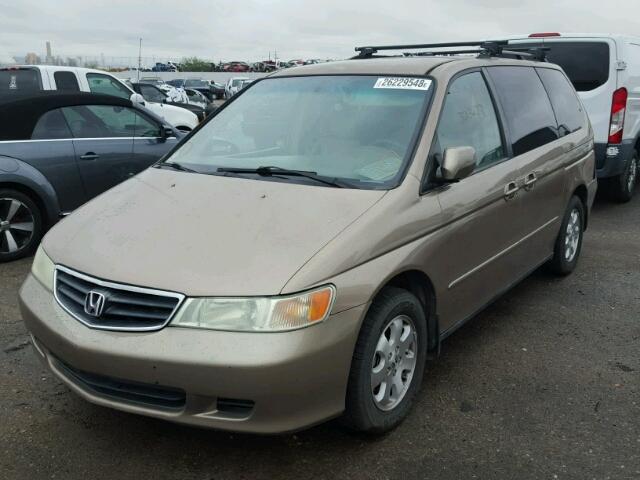 5FNRL18924B000418 - 2004 HONDA ODYSSEY EX GOLD photo 2