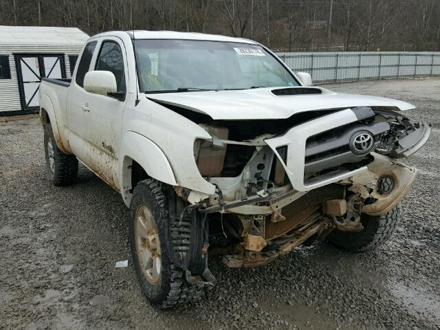 5TEUU4EN3AZ719004 - 2010 TOYOTA TACOMA ACC WHITE photo 1