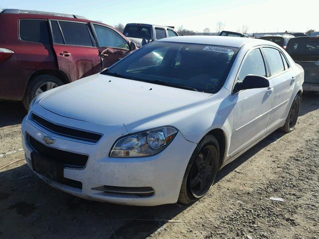 1G1ZG57B094231891 - 2009 CHEVROLET MALIBU LS WHITE photo 2