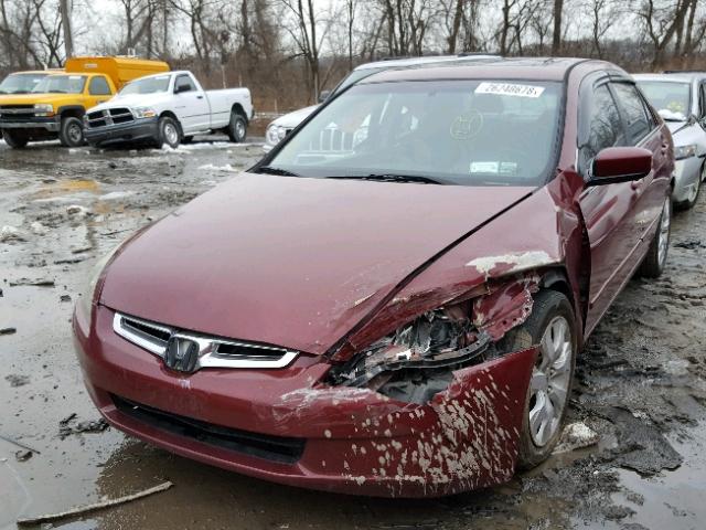 1HGCM66584A093097 - 2004 HONDA ACCORD EX RED photo 2