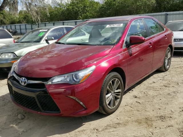 4T1BF1FK8GU574995 - 2016 TOYOTA CAMRY LE BURGUNDY photo 2