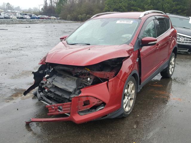 1FMCU0JX7EUC15898 - 2014 FORD ESCAPE TIT RED photo 2