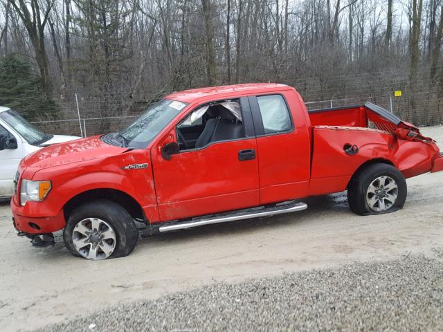 1FTEX1EM9DFA53236 - 2013 FORD F150 SUPER RED photo 9