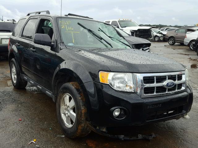 1FMCU0D75BKA72632 - 2011 FORD ESCAPE XLT BLACK photo 1