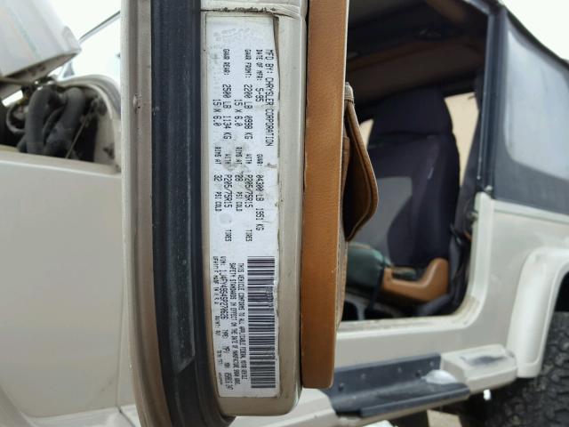 1J4FY49S4SP270626 - 1995 JEEP WRANGLER / BEIGE photo 10