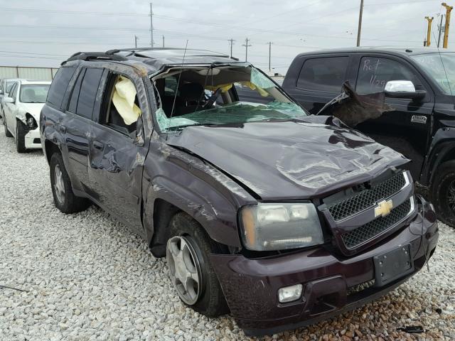 1GNDS13S282220648 - 2008 CHEVROLET TRAILBLAZE PURPLE photo 1