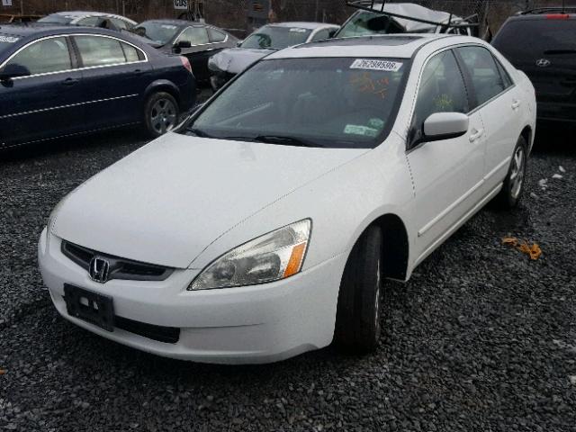 1HGCM56845A041844 - 2005 HONDA ACCORD EX WHITE photo 2