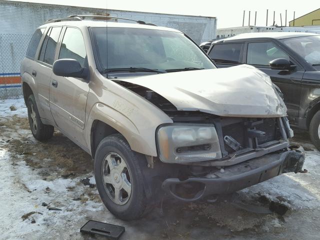 1GNDT13S222356086 - 2002 CHEVROLET TRAILBLAZE TAN photo 1