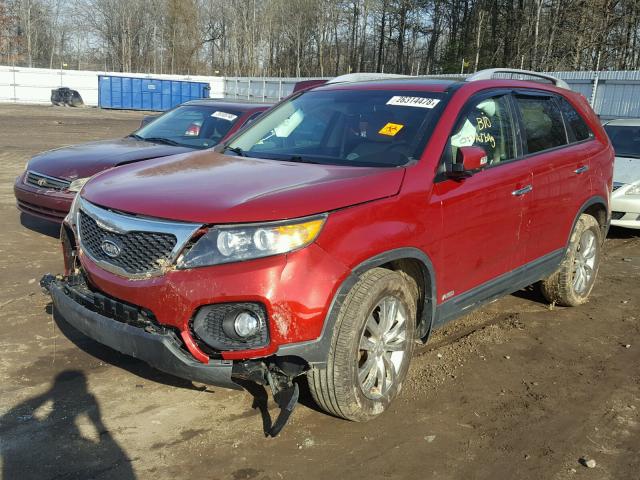 5XYKUDA24BG040504 - 2011 KIA SORENTO EX RED photo 2