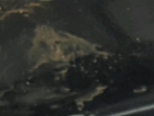 1G1ZC5E08CF149948 - 2012 CHEVROLET MALIBU 1LT BLACK photo 8