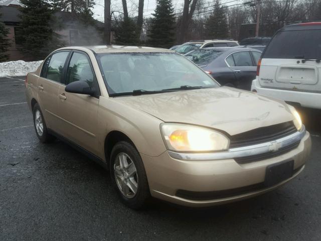 1G1ZT52894F106683 - 2004 CHEVROLET MALIBU LS 金色 照片 1