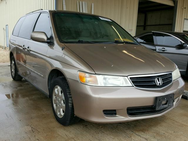 5FNRL18044B016489 - 2004 HONDA ODYSSEY EX GOLD photo 1