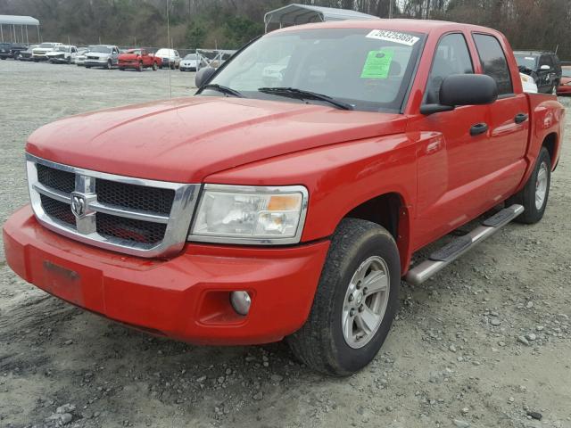 1D7HE48NX8S543390 - 2008 DODGE DAKOTA QUA RED photo 2