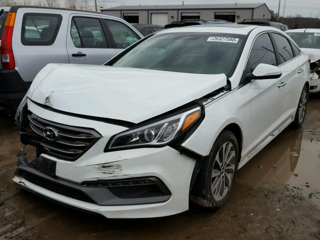 5NPE34AF5GH419790 - 2016 HYUNDAI SONATA SPO WHITE photo 2