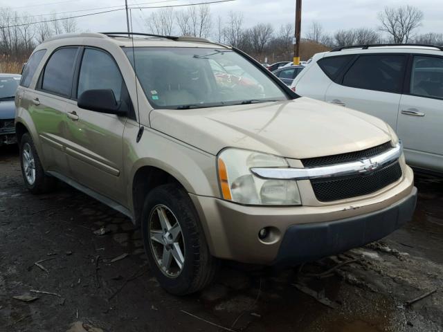 2CNDL73F756177897 - 2005 CHEVROLET EQUINOX LT GOLD photo 1