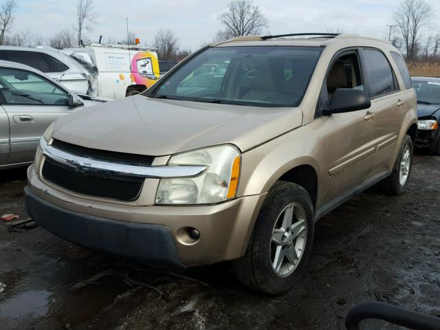 2CNDL73F756177897 - 2005 CHEVROLET EQUINOX LT GOLD photo 2