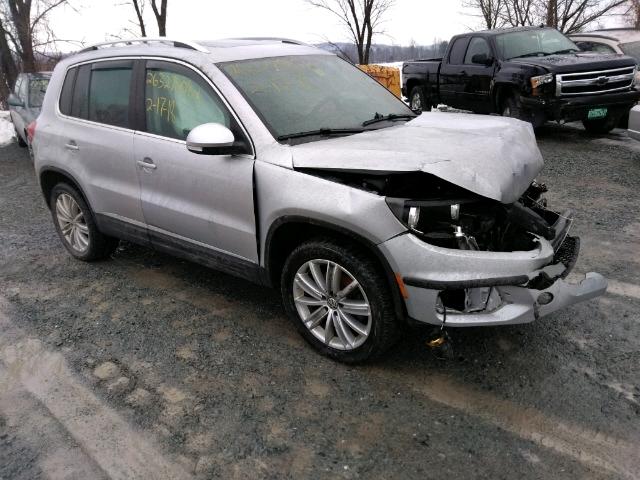 WVGBV3AX8EW537996 - 2014 VOLKSWAGEN TIGUAN S GRAY photo 1