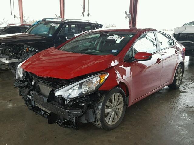 KNAFX4A68G5608178 - 2016 KIA FORTE LX RED photo 2