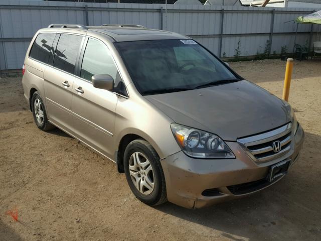 5FNRL38635B017750 - 2005 HONDA ODYSSEY EX GOLD photo 1