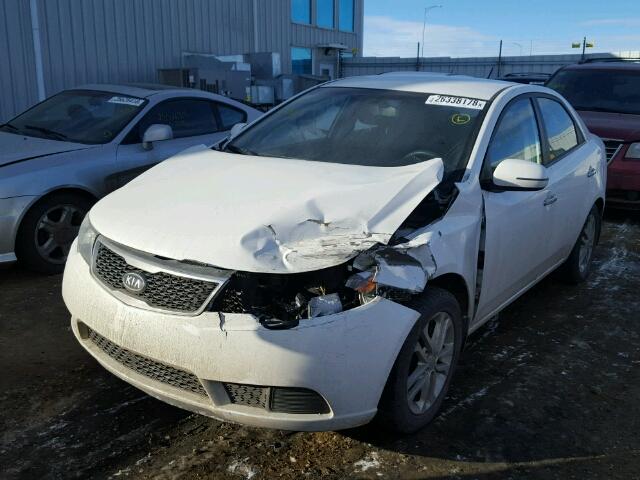 KNAFU4A2XC5524301 - 2012 KIA FORTE EX WHITE photo 2