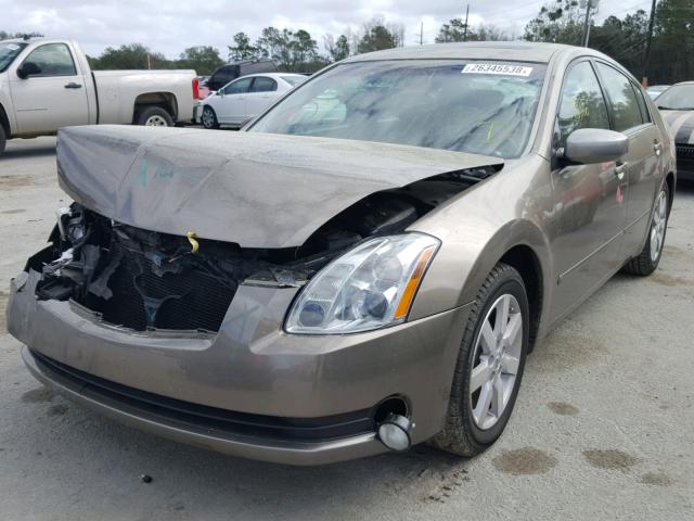 1N4BA41E36C839502 - 2006 NISSAN MAXIMA SE GOLD photo 2